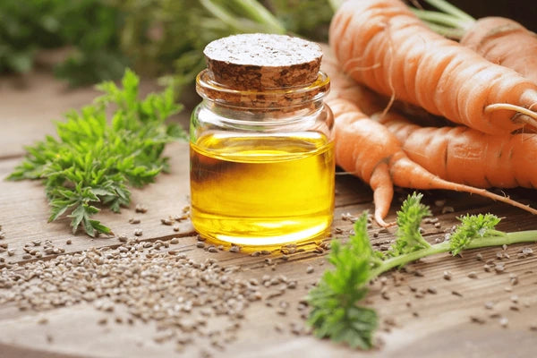Carrot Seed & Root Extracts