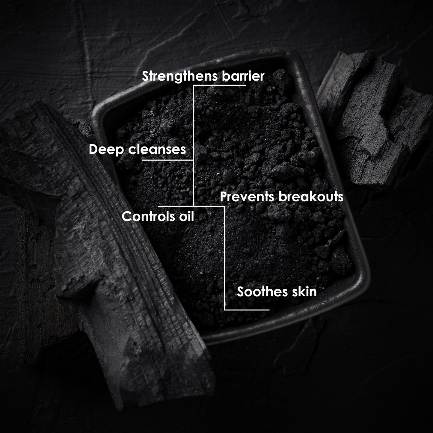 Charcoal Cleanser