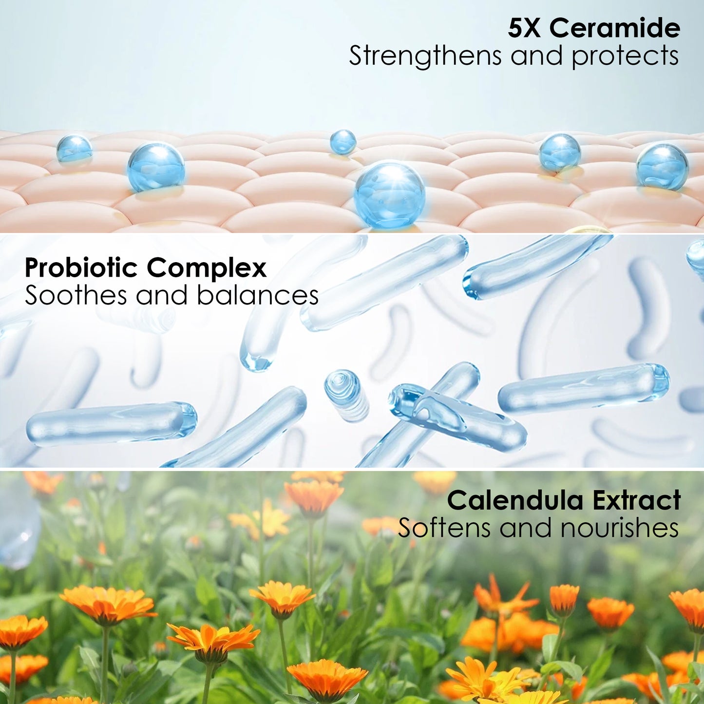 5X Ceramide Soothing Toner