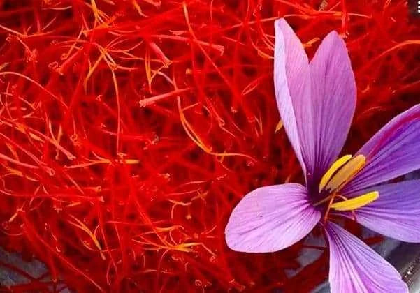 Saffron