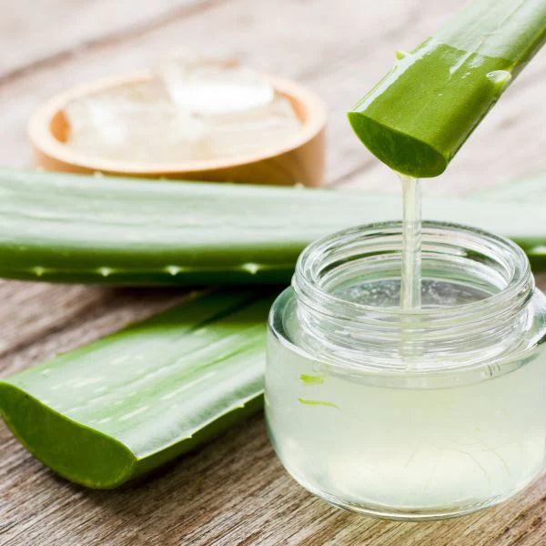 aloe-vera-extract-possibilities